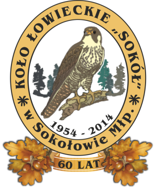 nowe-logo